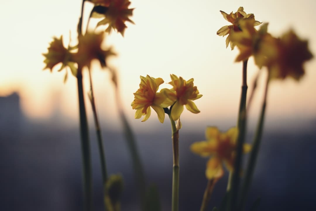 中元节的真实来历 中元节晚上三大忌讳